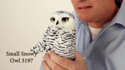 Folkmanis Handpuppe kleine Schneeeule Demo
