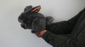 Folkmanis Grey Bunny Hand Puppet Demo