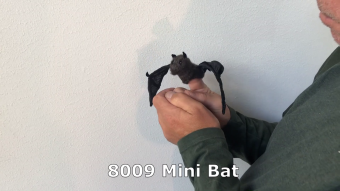 Folkmanis Fingerpuppe mini Fledermaus Demo