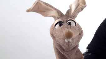 Living Puppets Strumpfhandpuppe Hase Mampfred - Quasselwurm Demo 2