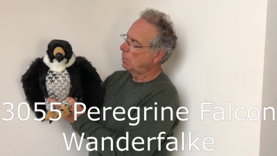 Folkmanis Handpuppe Wanderfalke Demo 2