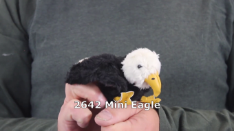 Folkmanis Mini Eagle Finger Puppet Demo
