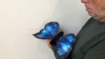 Folkmanis Blue Morpho Butterfly Hand Puppet Demo