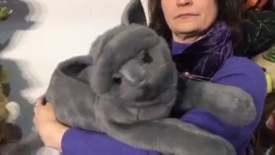 Folkmanis Handpuppe schnurrende Katze Demo