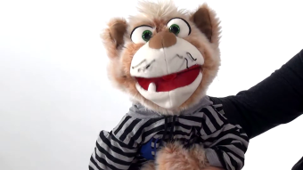 Living Puppets Handpuppe Katze Wisky Demo