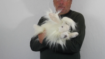 Folkmanis Handpuppe Angorakaninchen Demo