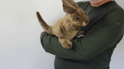 Folkmanis Handpuppe kleines Känguru Demo