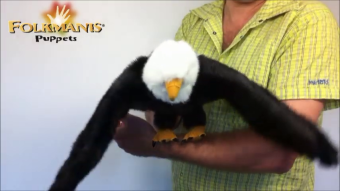 Folkmanis Handpuppe Weißkopfseeadler Demo 2
