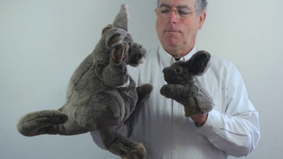 Folkmanis Handpuppe Känguru mit Baby Demo