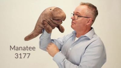 Folkmanis Handpuppe Seekuh Demo 2