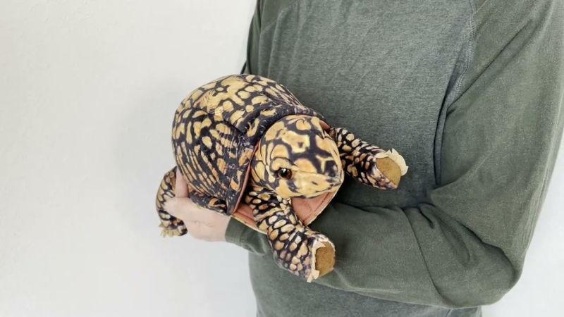 Folkmanis Box Turtle Hand Puppet Demo