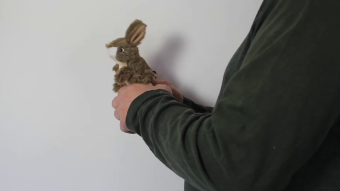 Folkmanis Mini Jack Rabbit Finger Puppet Demo