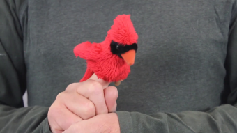 Folkmanis Fingerpuppe mini Kardinalvogel Demo