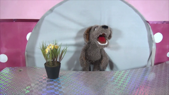 Living Puppets Handpuppe Locke der kleine Hund Demo