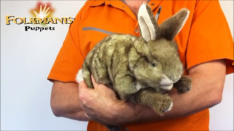 Folkmanis Cottontail Rabbit Hand Puppet Demo 2