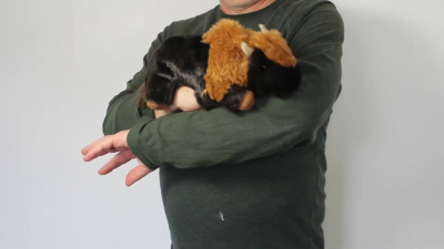Folkmanis Handpuppe kleines Bison Demo