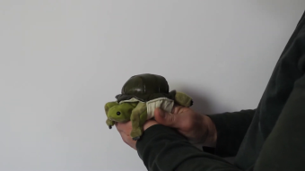 Folkmanis Fingerpuppe mini Schildkröte Demo