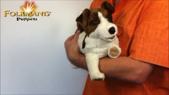Folkmanis Handpuppe Jack Russell Terrier Demo 2