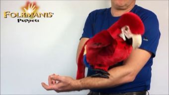 Folkmanis Handpuppe Papagei / Ara Demo 2