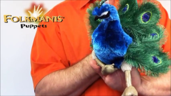 Folkmanis Handpuppe kleiner Pfau Demo 2