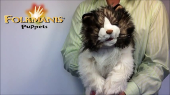 Folkmanis Handpuppe wuschelige Katze Demo 2